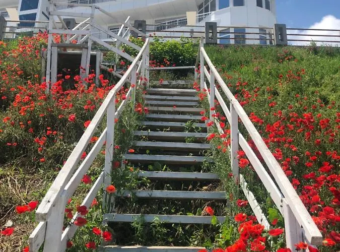 Pasha Hotel Eforie Nord